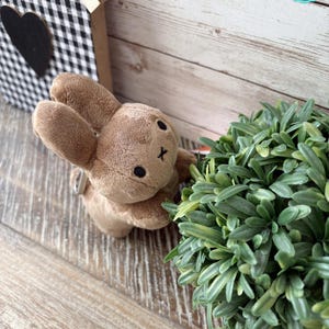 May include: A small, plush brown bunny toy with black eyes and a stitched 'X' for a mouth. The bunny is positioned near a green plant and a decorative wooden house with a black heart. The background is a light-colored wooden surface.