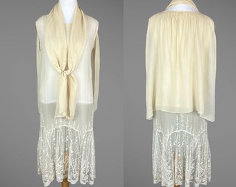 Vintage 1920s Tambour Lace Embroidered Sheer Silk Chiffon Dress and Scarf, M/L