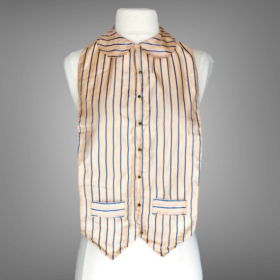 Antique Pink Blue Striped Silk Dickey with Net Back, 1900s 1910s Peter Pan Collar Edwardian Bodice Inset