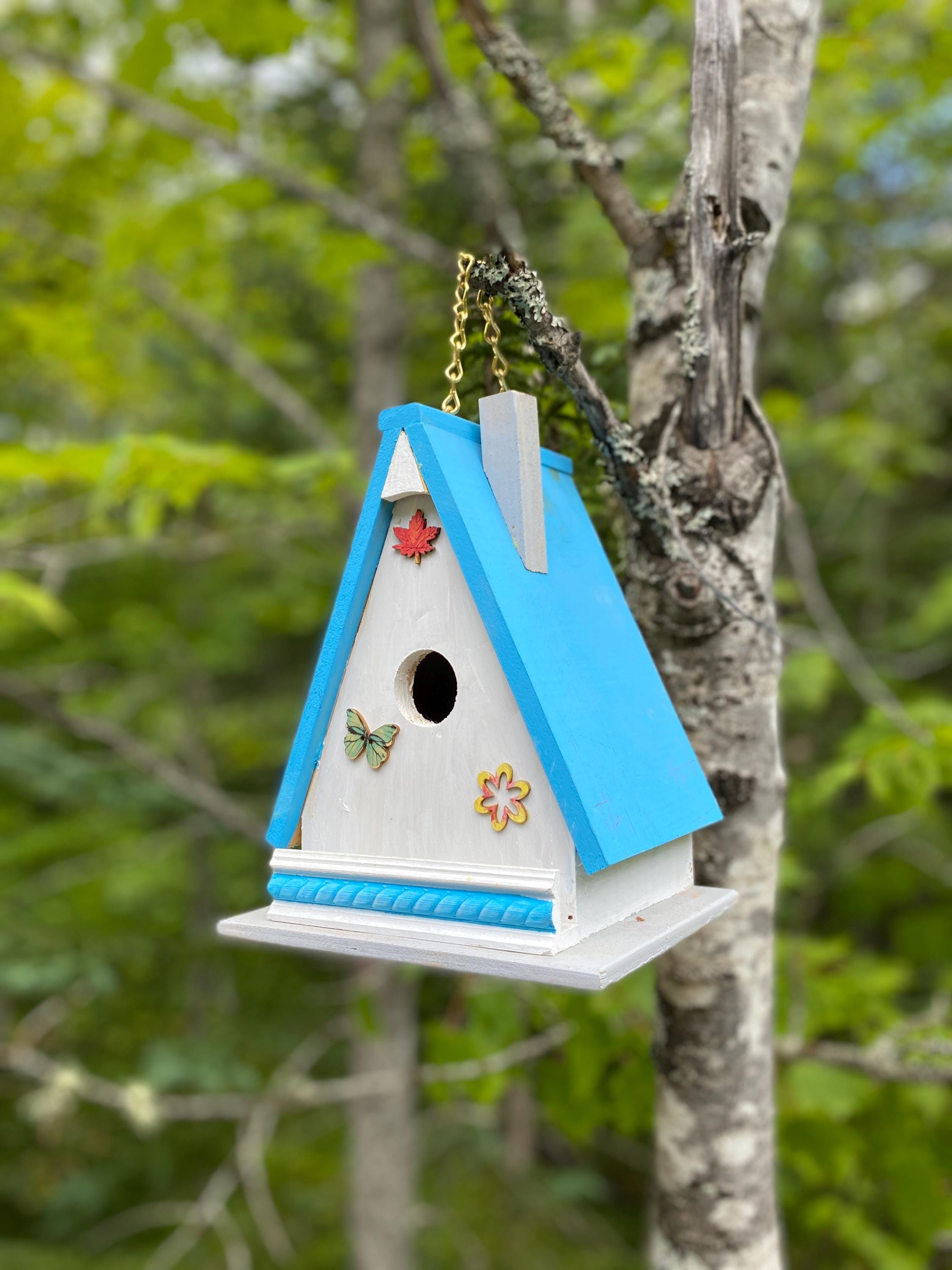 Vogelhaus Aus Polyholz – Für Meisen & Zaunkönige, 20,3x17,8x17,8 Cm, Mit 3,8 Cm Einflugloch, Recyclebar