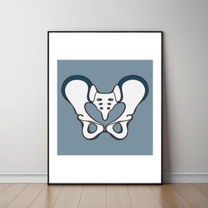 Minimalist pelvis anatomy art print in modern style for medical office and clinic decor - Digital download