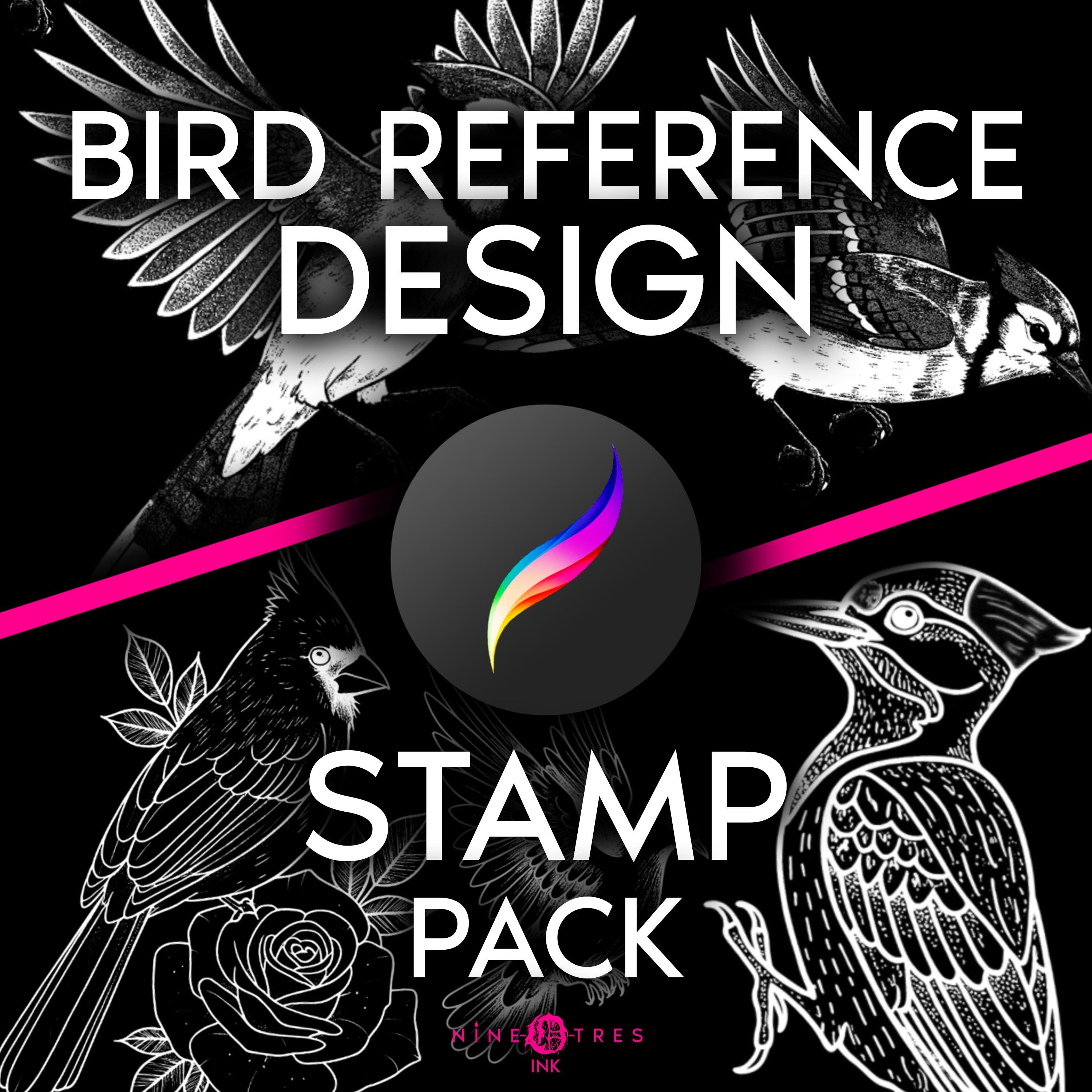Bird Reference Tattoo Stamp Pack for Procreate – 25 Bird Species Poses for Artists