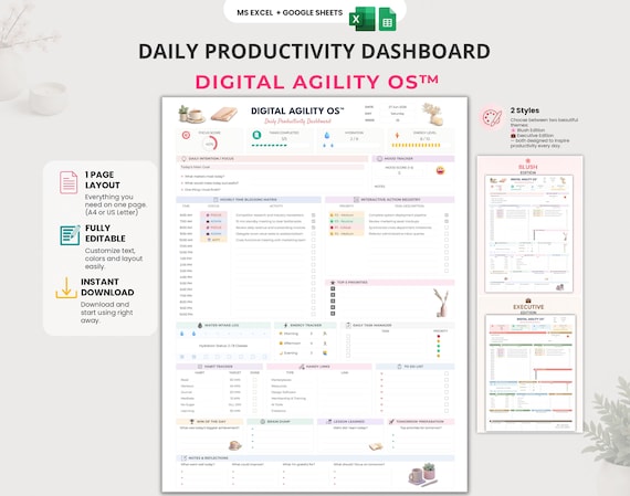 Daily Productivity Planner | Excel & Google Sheets | Time Blocking | Habit Tracker Dashboard | 2 Color Editions | Task Manager | A4 and US