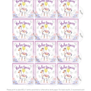 Printable Llama Party Favor Tags / Alpaca Gift Tag Instant - Etsy