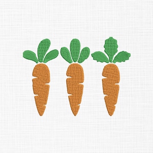 May include: Three orange carrots with green leafy tops. The carrots are arranged in a row.