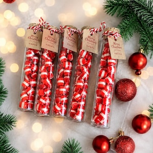 Op de afbeelding: Vijf doorzichtige glazen reageerbuisjes gevuld met rood-wit gestreepte snoepjes, elk afgesloten met een kurk en vastgebonden met rood-wit touw. Aan elk buisje hangt een bruin papieren label met de tekst Merry Christmas and Happy.