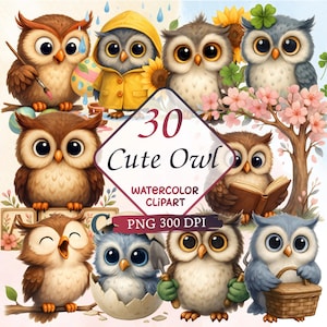 Op de afbeelding: Watercolor clipart met 30 schattige uilen illustraties. De uilen worden in verschillende poses afgebeeld, sommige houden voorwerpen vast zoals een penseel, boek en mand. Het kleurenpalet omvat bruin, blauw en geel. De tekst "30 Cute Owl Watercolor Clipart PNG 300 DPI" is ook zichtbaar.
