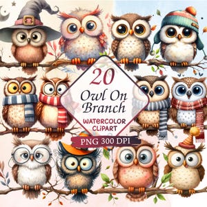 Eule Aquarell Bundle, Eule auf Ast Clipart, Png Clipart, kommerzielle Nutzung Clipart, Aquarell Clipart, Sublimation, Eule auf Ast Aquarell