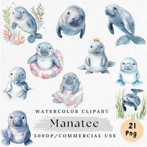 May include: A collection of watercolour illustrations of manatees in various poses and settings. The manatees are depicted in shades of blue and grey, some with accessories such as a crown or a swim ring. The text "Watercolor Clipart" and "Manatee" are also included.
