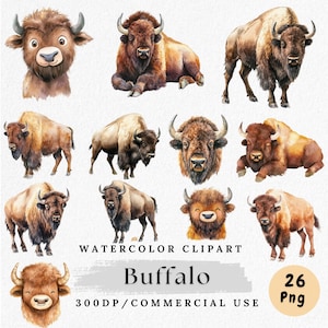 Buffalo Clipart, Watercolor Buffalo PNG, Wild Animal Clip Art, Bison Clipart, Buffalo Head Clipart, Boho Wildlife Art, Commercial Use