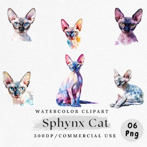 Puede incluir: Clipart de acuarela con seis gatos esfinge en varias poses. Los gatos están pintados en tonos azules, rosas y morados. El texto "Sphynx Cat", "WATERCOLOR CLIPART" y "300DP/COMMERCIAL USE" también está presente.