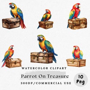 Parrot on Treasure Clipart, Watercolor Pirate Parrot PNG, Bird with Gold Chest Illustration, Island Adventure Clip Art, Digital Download