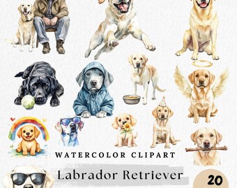 Aquarell Labrador Clipart: Gelb, Schwarz, Chocolate Labrador PNG (Digital Download)