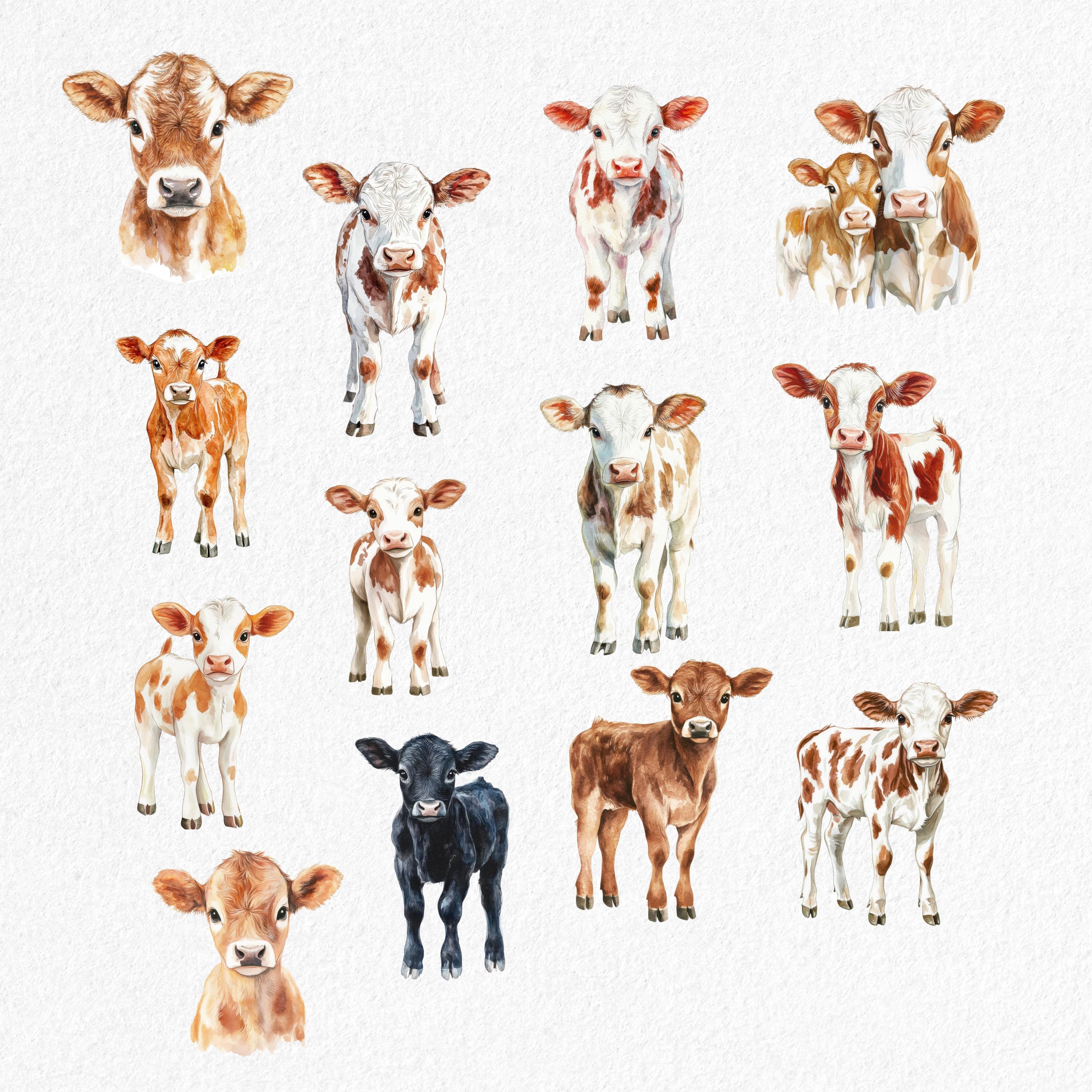 Watercolor Baby Cow Clipart: Farm Animal PNG Bundle (commercial Use ...