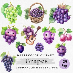 Paquete de imágenes prediseñadas de uvas, uvas lindas PNG, frutas kawaii PNG, arte de uvas moradas en acuarela, imágenes prediseñadas digitales de frutas, pegatinas de uvas imprimibles