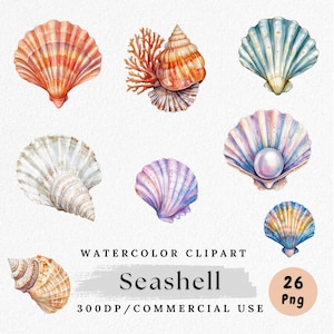 Sea Shell Clipart, Watercolor Seashell PNG, Beach Shell Clip Art, Ocean Theme Graphics, Digital Download, Summer Beach Decor, Commercial Use