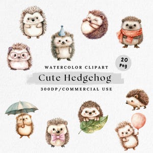 Hérisson Clipart PNG, Illustration personnage hérisson, Animal de la forêt kawaii, aquarelle des cliparts bois, hérisson souriant, décoration de chambre d'enfant
