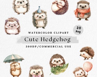 Watercolor Hedgehog Clipart: Kawaii Forest Animals (PNG Digital Download)