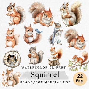 Clipart écureuil, aquarelle écureuil PNG, clipart animaux de la forêt, illustration mignon écureuil, clipart forêt automne, bébé écureuil PNG
