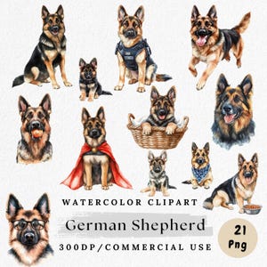 Pode incluir: Clipart em aquarela com várias ilustrações de cães pastores alemães. A coleção inclui cães em diferentes poses, alguns com acessórios como capa, bandana e óculos. O texto "German Shepherd" e "Watercolor Clipart" também é visível.