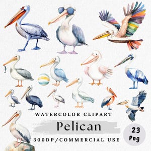 Clipart di pellicano, PNG di pellicano ad acquerello, clipart di uccelli da spiaggia, clipart di uccelli tropicali, immagini digitali di pellicano, clipart di uccelli marini
