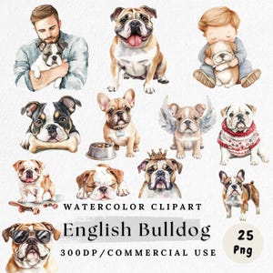 English Bulldog Clipart, Cute Bulldog art, Bulldog Character, Watercolor Dog Clip Art for Pet Lovers, Nursery Decor, Dog Lover Gift Design