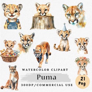 Puma Clipart, Watercolor Big Cat PNG, Wild Cat, Puma PNGs, Jungle Animal Clip Art, Digital Download, Paper Crafting, Commercial Use