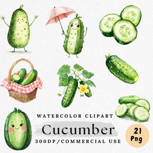Clipart ogórka, akwarela warzyw PNG, zielony ogórek PNG, świeże produkty Clip Art, pakiet żywności PNG, papierowe rzemiosło, komercyjne zastosowanie