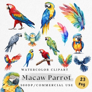 Clipart di pappagallo ara, PNG di pappagallo acquerello, Clipart di uccello tropicale, PNG di ara colorata, animale della giungla, download digitale, creazione di carta