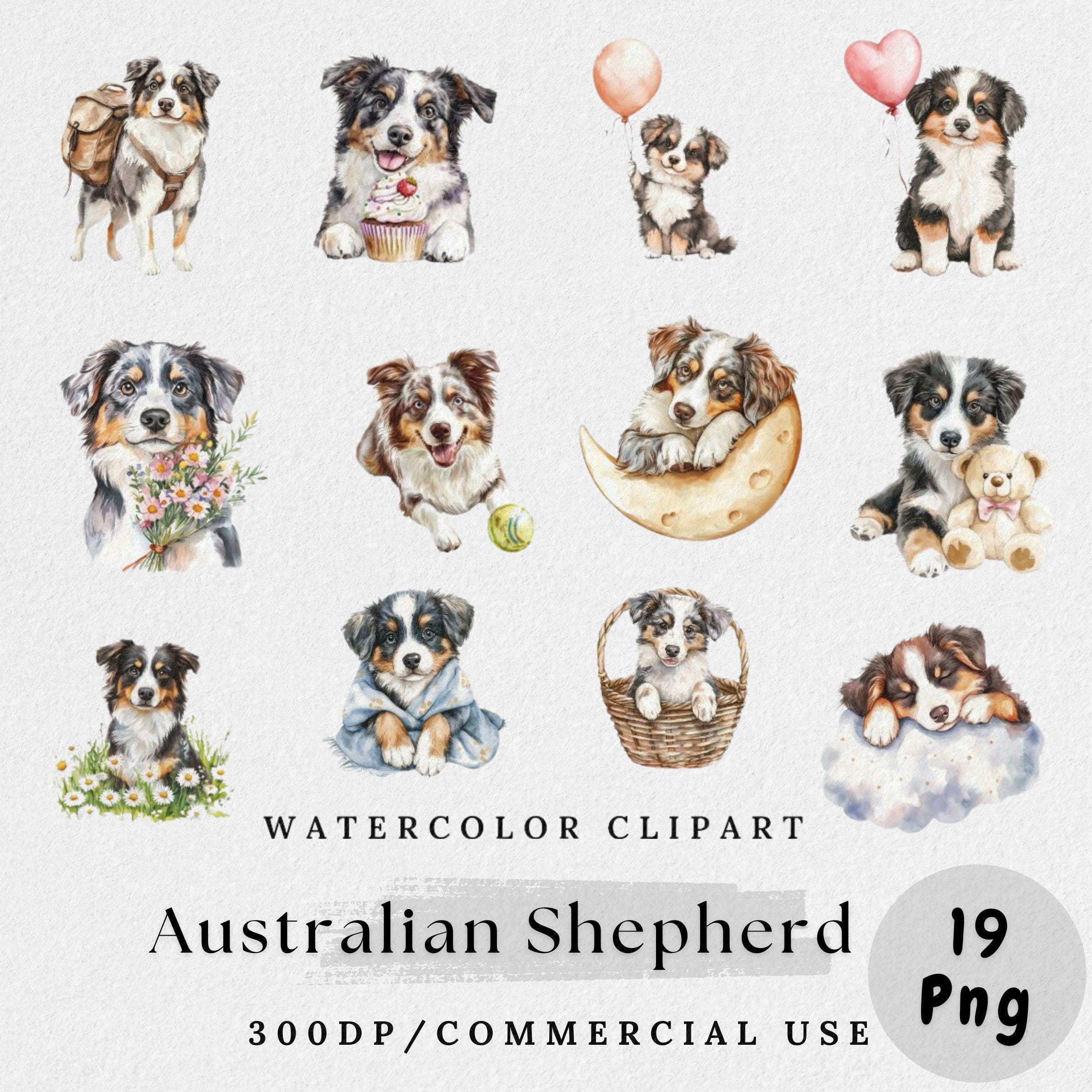 Australian Shepherd Clipart, Watercolor Dog, Cute Puppy Art, Farm Pet ...