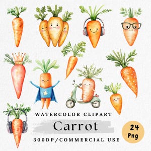 Carrot Clipart Bundle, Cute Carrot PNG, Watercolor Vegetable Clipart, Cartoon Carrot, Farm Garden Clip Art, Commercial Use, Digital Crafting