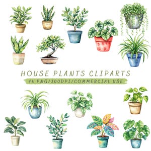 Imágenes prediseñadas de plantas en macetas de acuarela, lindas plantas de interior PNG, decoración botánica, ilustraciones de plantas de interior, arte vegetal, descarga digital