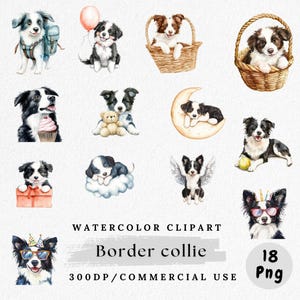 May include: Watercolor clipart featuring various Border Collie illustrations. The images showcase the dogs in different poses, including wearing accessories, holding objects, and in baskets. The text "Watercolor Clipart" and "Border Collie" are also present.