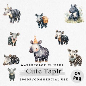Cute Tapir Clipart, Watercolor Tapir PNG Bundle, Jungle Animal Clip Art, Adorable Tapir, Forest Animal Digital Download, Baby Tapir Art