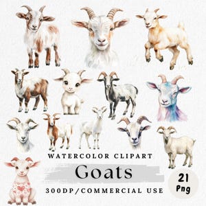 Goat Clipart, Watercolor Goat PNG, Farm Animal Clip Art, Cute Goat PNGs, Baby Goat Clipart, Country Animal PNG, Rustic Farm Clip Art