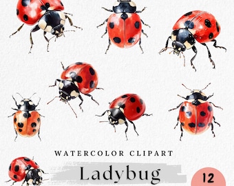Watercolor Ladybug Clipart: Spring Insect PNG Graphics (Commercial Use, Digital Download)