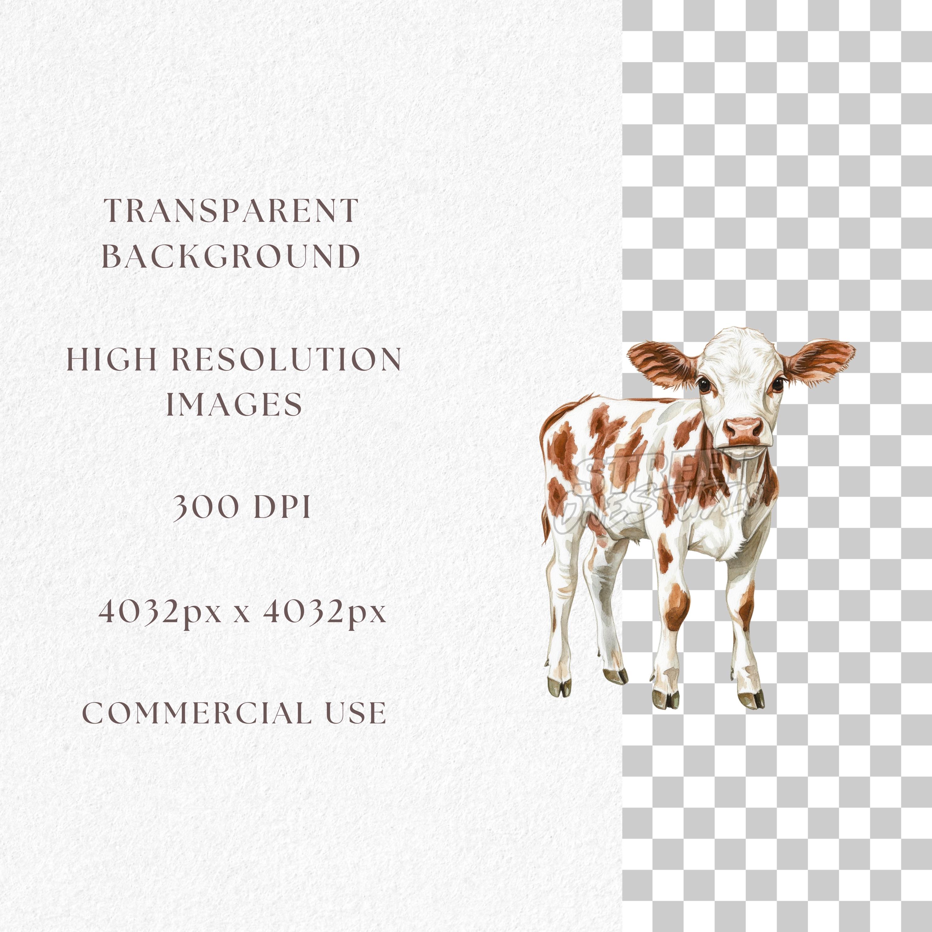 Watercolor Baby Cow Clipart: Farm Animal PNG Bundle (commercial Use ...