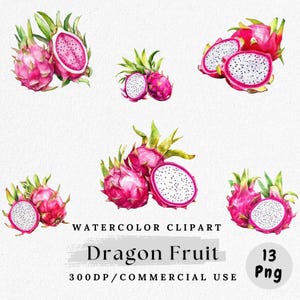 Dragon Fruit Clipart, Watercolor Tropical Fruit PNG, Exotic Fruit Clip Art Set, Summer Food Design, Digital Download, Commercial Use