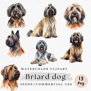 Briard Hund Clipart, Aquarell Briard PNG, Französischer Schäferhund Kunst, Langhaariger Hund Clipart, Haustierporträt PNG, Hunderasse Clipart, kommerzielle Nutzung