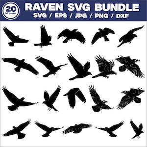 May include: A collection of 20 black raven silhouettes in various flying poses. The image includes the text "RAVEN SVG BUNDLE" and file type options: SVG, EPS, JPG, PNG, and DXF. The designs are suitable for digital art projects.