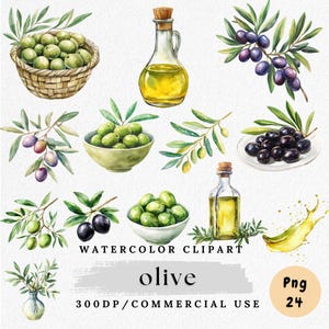 Imágenes prediseñadas de aceitunas, aceitunas en acuarela PNG, arte de aceitunas verdes, imágenes prediseñadas mediterráneas, ramas de olivo PNG, paquete de aceitunas PNG, manualidades con papel, fabricación de tarjetas
