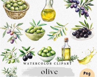 Clipart olive aquarelle : art méditerranéen, rameau d'olivier PNG (téléchargement numérique, 24 fichiers)