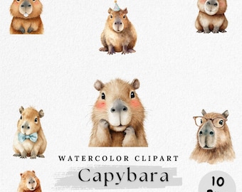 Watercolor Capybara Clipart Bundle: Funny Jungle Animal PNG (Digital Download)