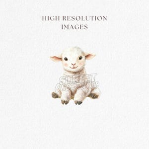 May include: A watercolor illustration of a seated lamb with white wool, pink cheeks, and a gentle smile. The image has text that reads "HIGH RESOLUTION IMAGES" and a watermark that reads "STREET ONE STUDIO".