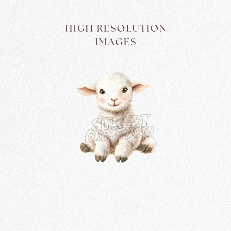 May include: A watercolor illustration of a seated lamb with white wool, pink cheeks, and a gentle smile. The image has text that reads "HIGH RESOLUTION IMAGES" and a watermark that reads "STREET ONE STUDIO".