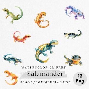 Salamander Clipart, Cute Cartoon Salamander PNG, Watercolor Amphibian Clip Art, Reptile Digital Download, Salamander Png Bundle