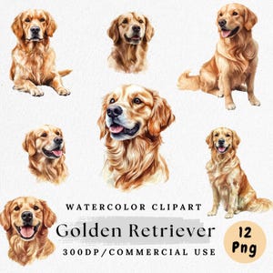 Golden Retriever Clipart, Watercolor Dog PNG, Cute Pet Illustration, Golden Puppy Clip Art, Dog Lover Graphic, Dog Portrait PNG, Digital
