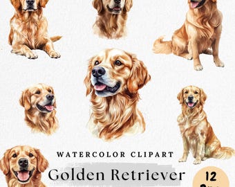 Golden Retriever Clipart, Watercolor Dog PNG, Cute Pet Illustration, Golden Puppy Clip Art, Dog Lover Graphic, Dog Portrait PNG, Digital