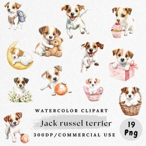 Puede incluir: Clipart de acuarela con varios Jack Russell terriers en poses juguetonas. Los perros están representados con marcas marrones y blancas, algunos con accesorios como una mochila, un oso de peluche y una magdalena. La imagen incluye el texto "Watercolor Clipart" y "Jack russel terrier".