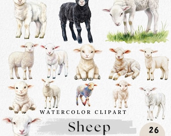 Sheep Clipart, Watercolor Lamb PNG, Cute Farm Animal Clip Art, Baby Sheep PNGs, Sheep Clip Art Bundle, Paper Crafting, Scrapbook Images